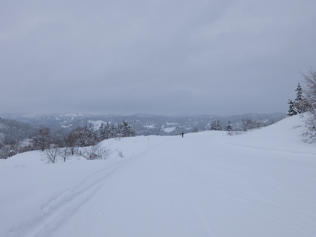 f:id:chiba-snow:20190110223902j:plain