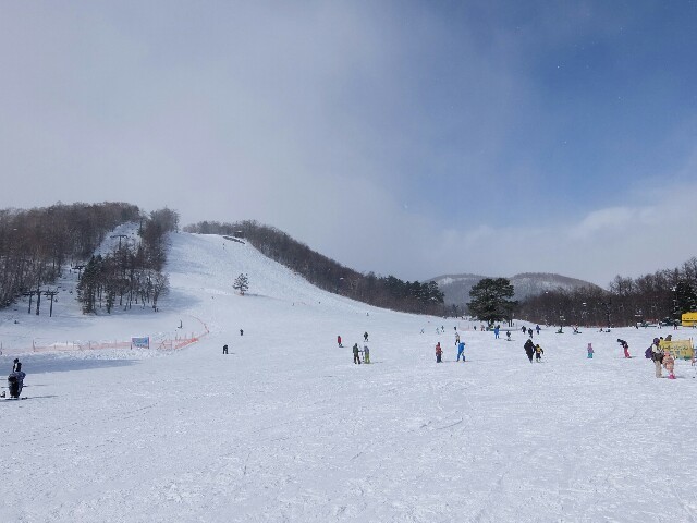 f:id:chiba-snow:20190128213714j:plain