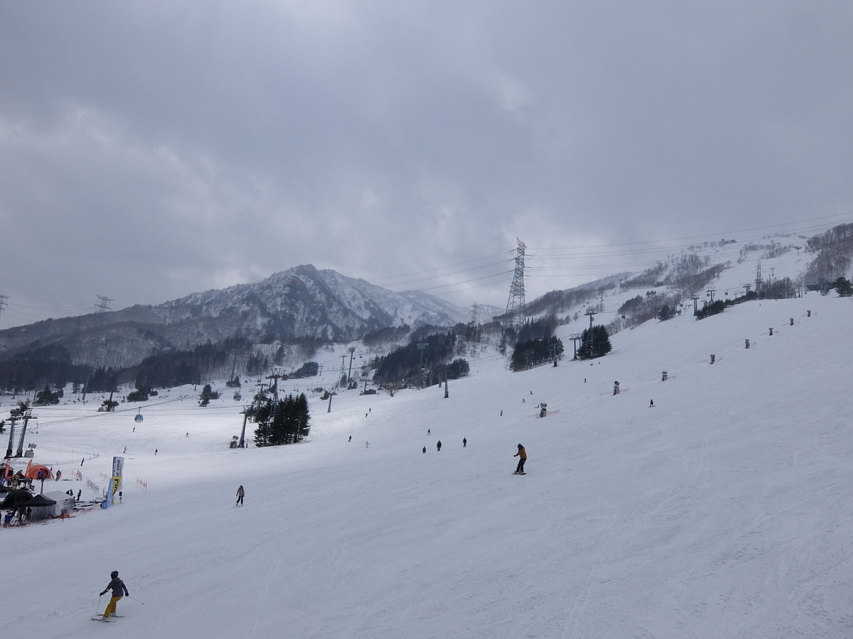 f:id:chiba-snow:20190328213113j:plain