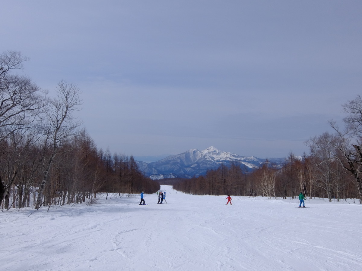 f:id:chiba-snow:20190415232155j:plain