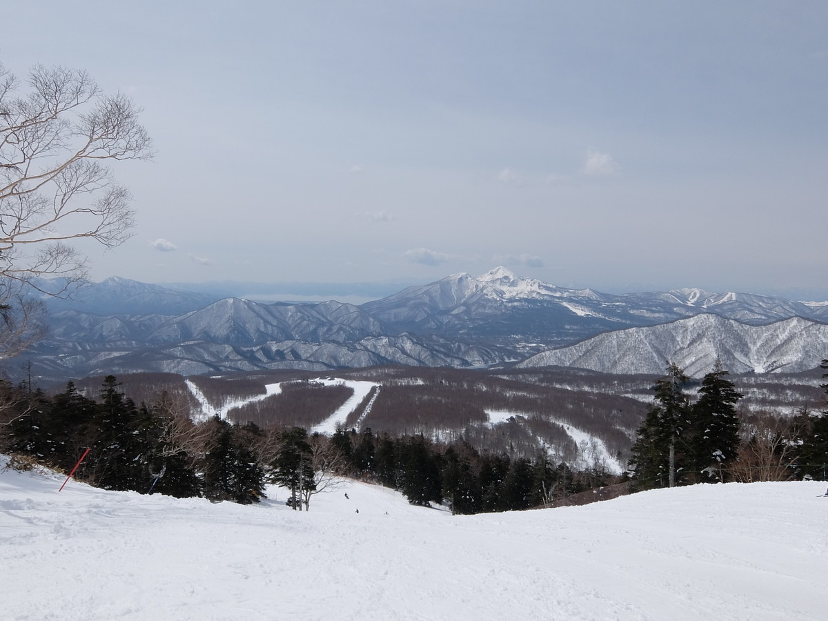 f:id:chiba-snow:20191006160650j:plain