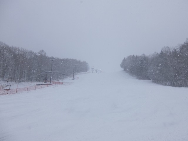 f:id:chiba-snow:20200317125352j:image f:id:chiba-snow:20200317125352j:image