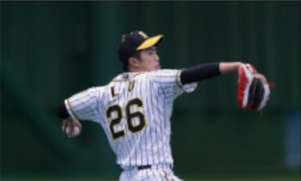 プロ野球 16球団化に際してやってほしい外国人枠改革 ちばけふの庭