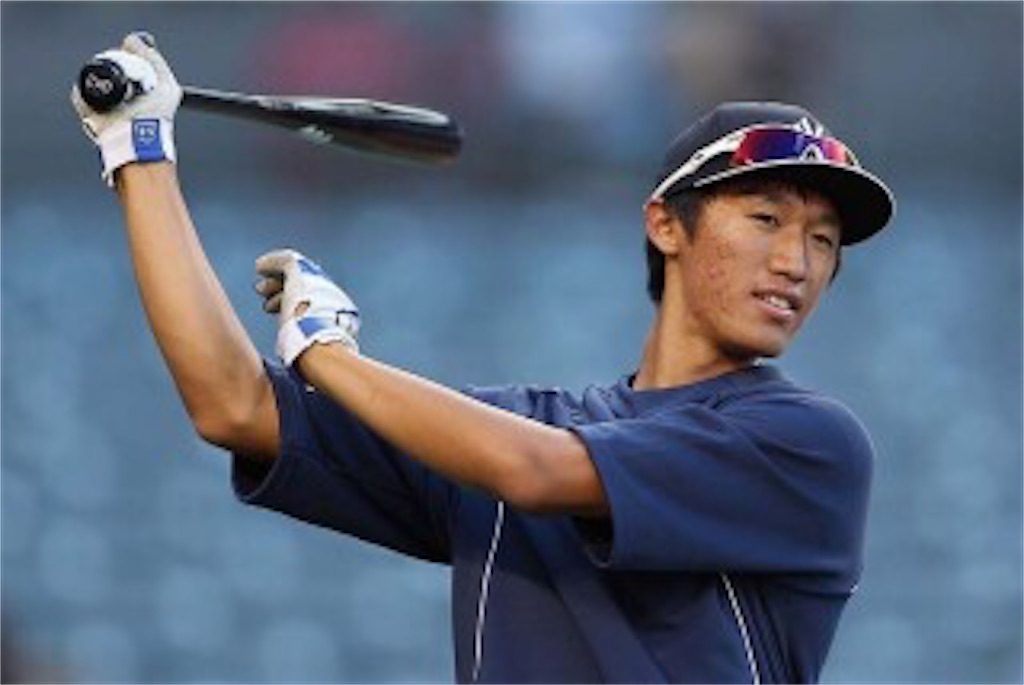 プロ野球 16球団化に際してやってほしい外国人枠改革 ちばけふの庭