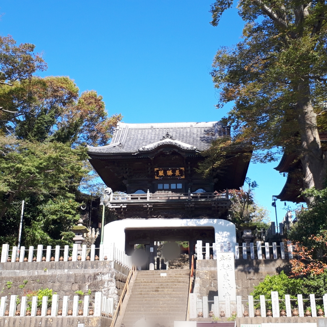 f:id:chibanoimomi:20211024202826j:plain