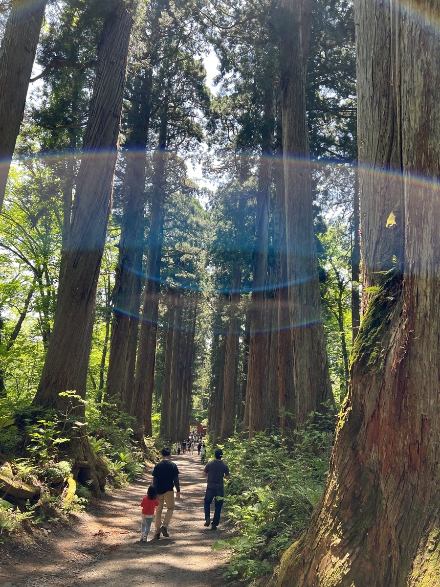 戸隠 神社 不思議 な 写真