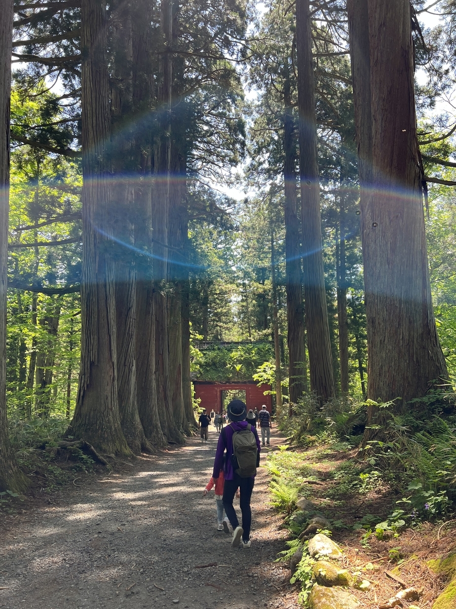 戸隠 神社 不思議 な 写真