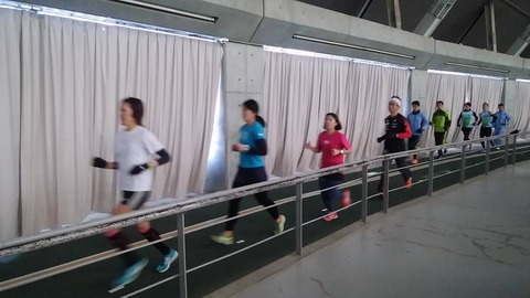 26230692_1981876632099831_4116807130331347178_n
