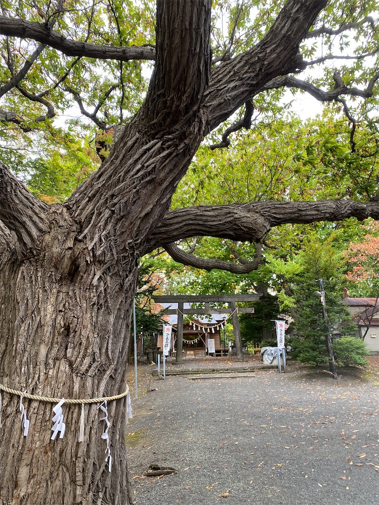 f:id:chibariyo-rc:20211010185144j:image f:id:chibariyo-rc:20211010185144j:image
