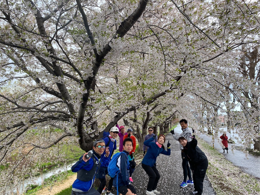 f:id:chibariyo-rc:20220504180632j:image