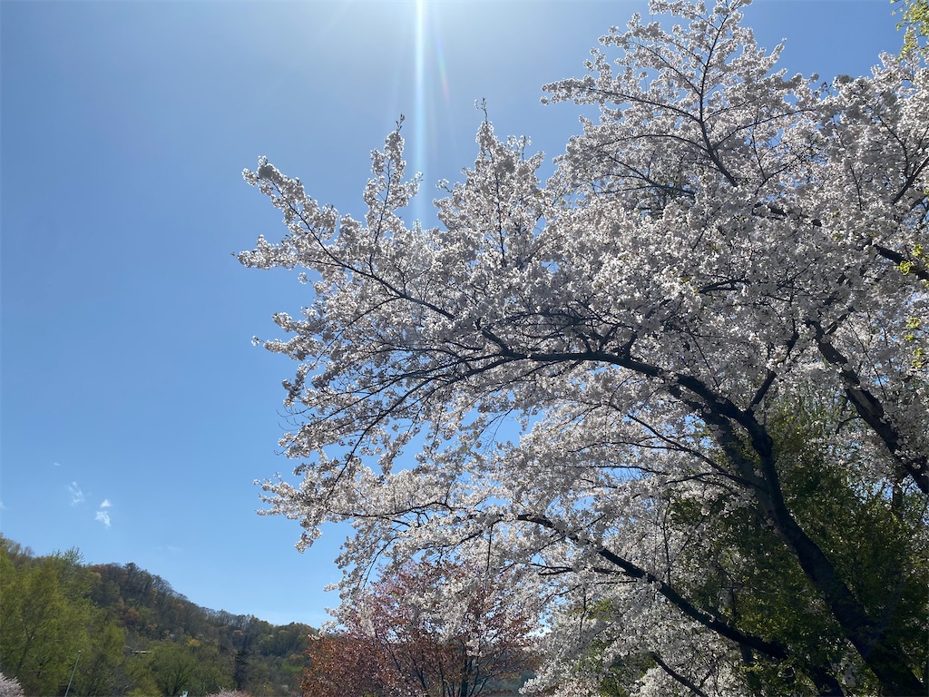 f:id:chibariyo-rc:20220504192025j:image