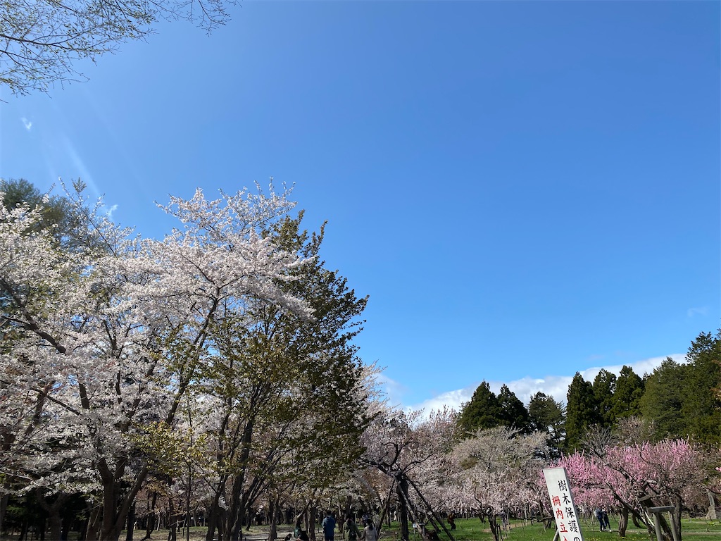 f:id:chibariyo-rc:20220504192140j:image