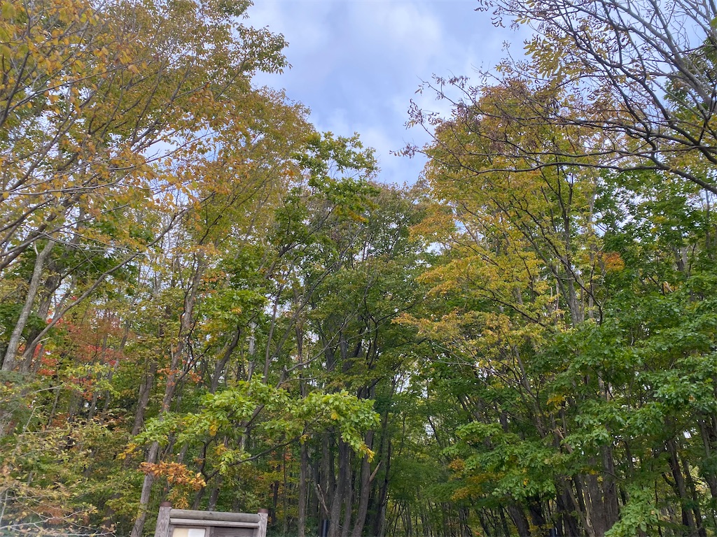 f:id:chibariyo-rc:20221016054151j:image