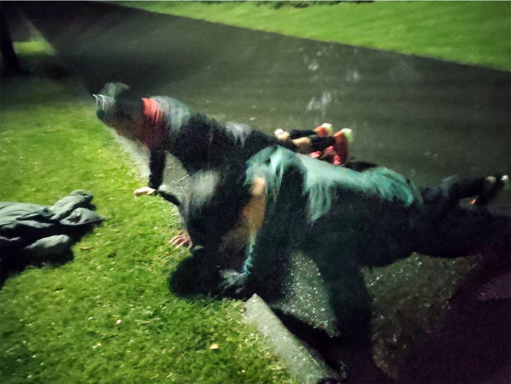 f:id:chibariyo-rc:20221110234350j:image