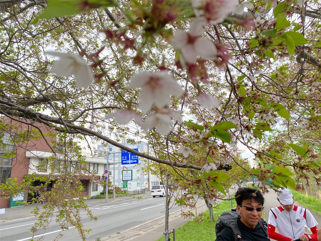 f:id:chibariyo-rc:20230504075531j:image
