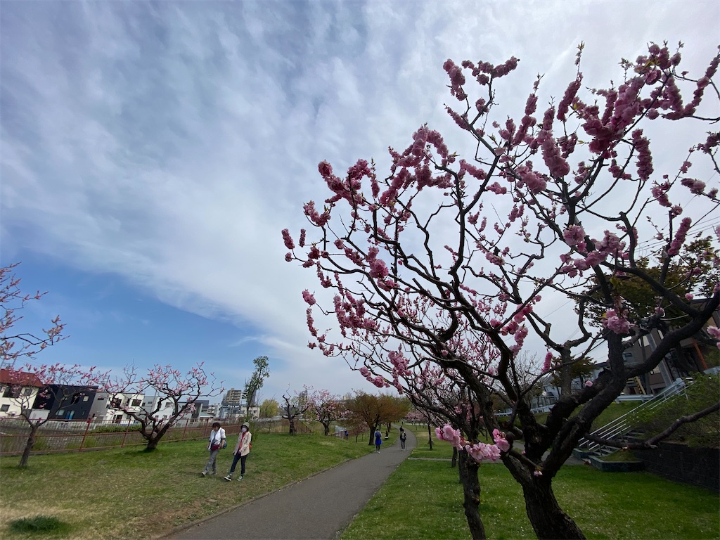 f:id:chibariyo-rc:20230504082936j:image