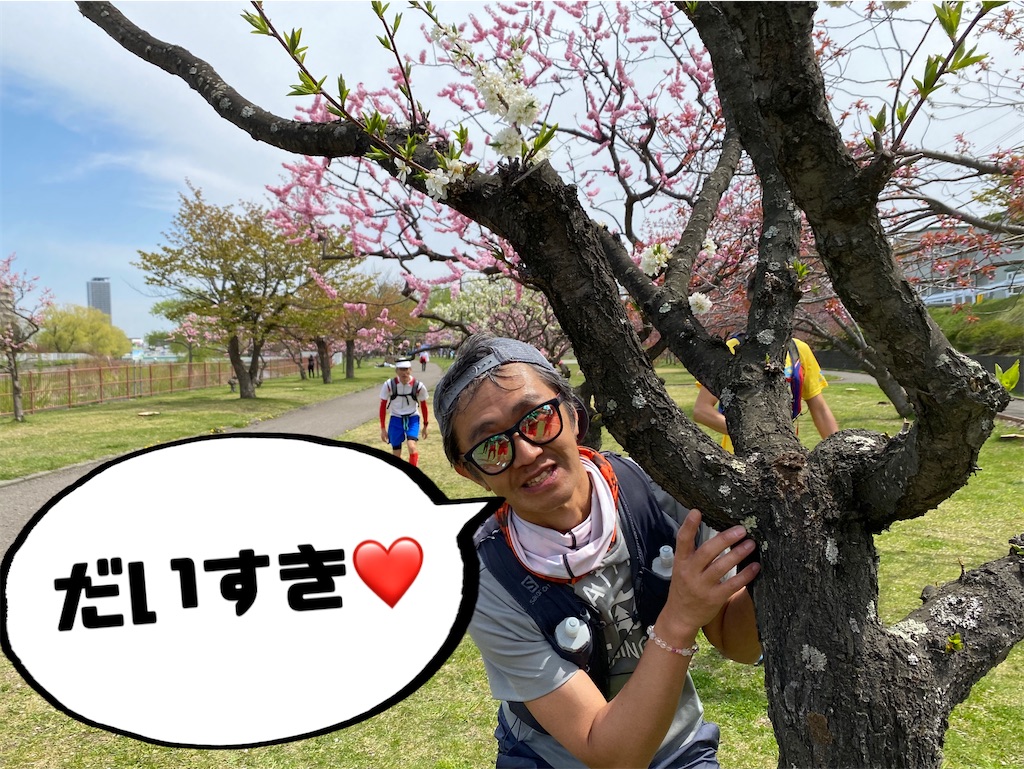f:id:chibariyo-rc:20230504085341j:image