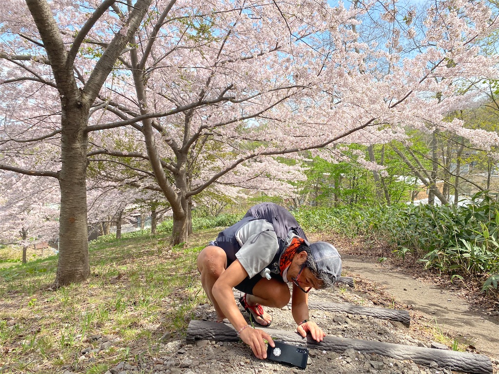 f:id:chibariyo-rc:20230504090341j:image