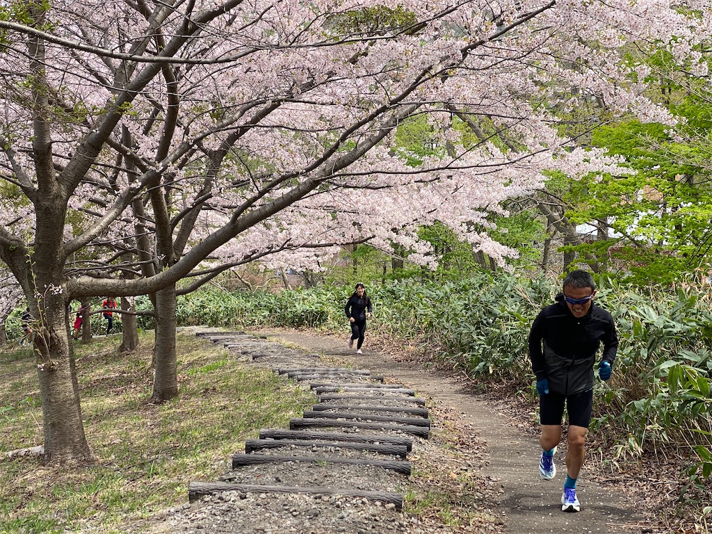 f:id:chibariyo-rc:20230504090347j:image