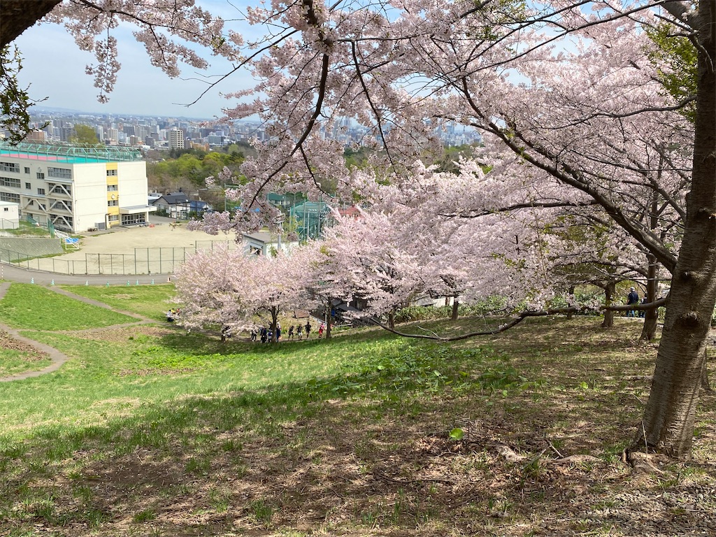f:id:chibariyo-rc:20230504090353j:image
