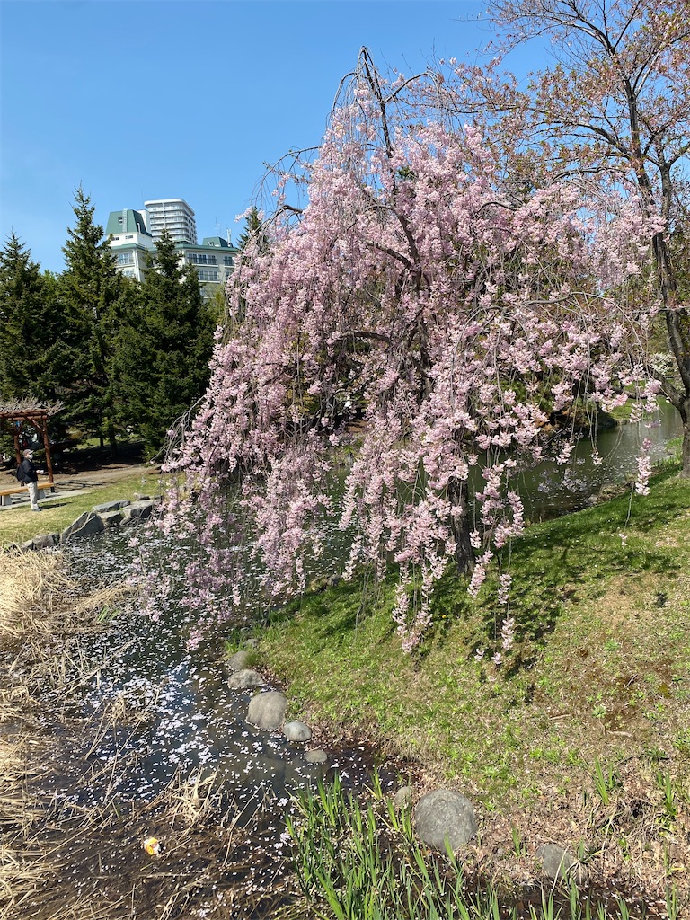f:id:chibariyo-rc:20230504093357j:image