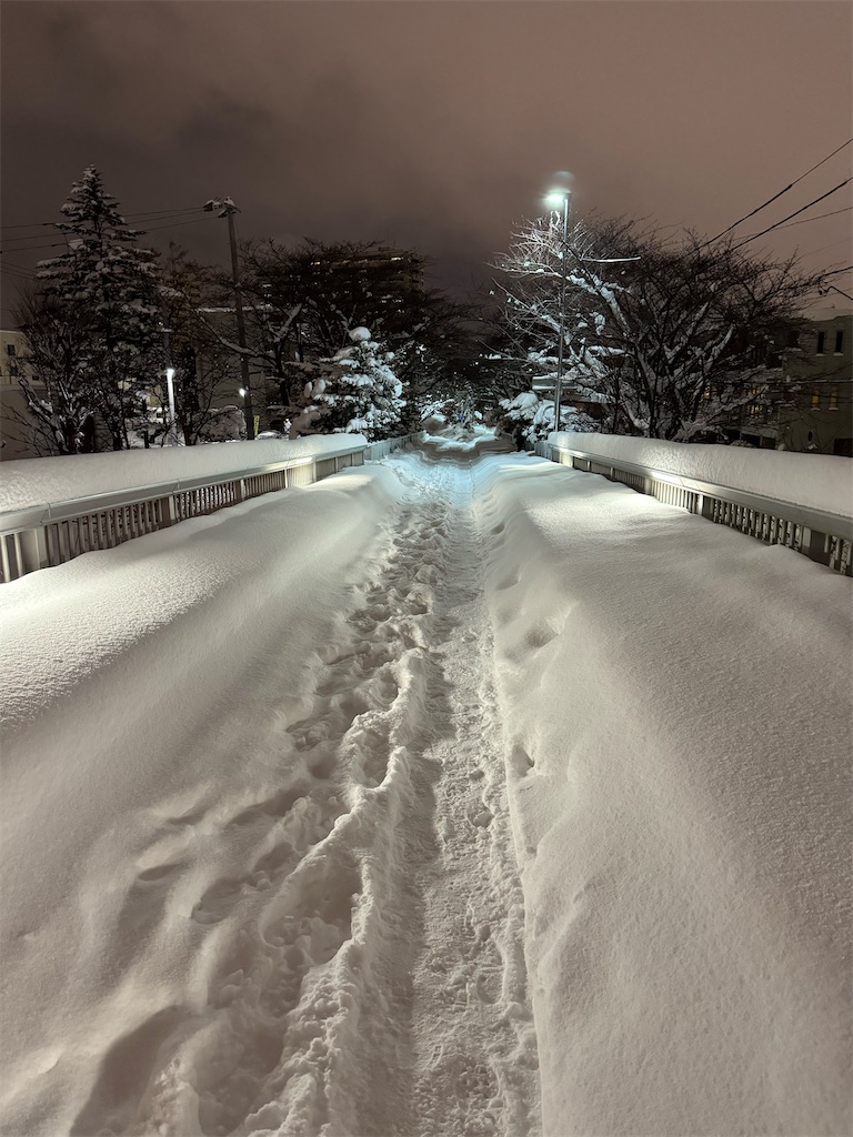 f:id:chibariyo-rc:20240118221354j:image f:id:chibariyo-rc:20240118221354j:image