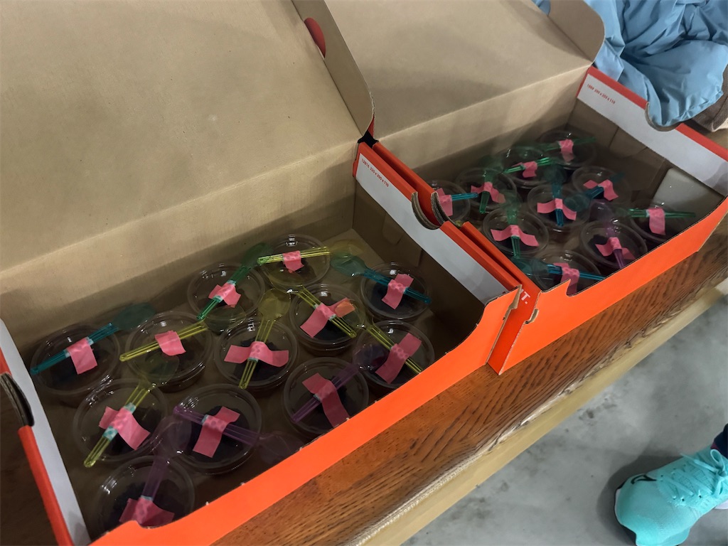 f:id:chibariyo-rc:20240214151338j:image