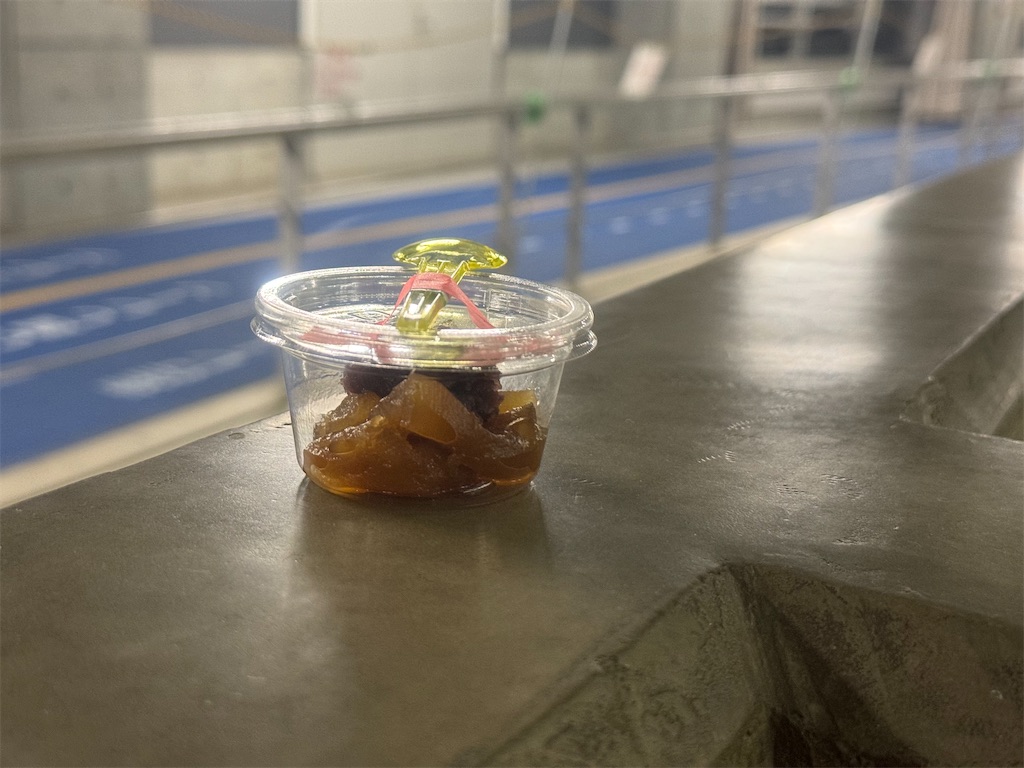 f:id:chibariyo-rc:20240214151341j:image