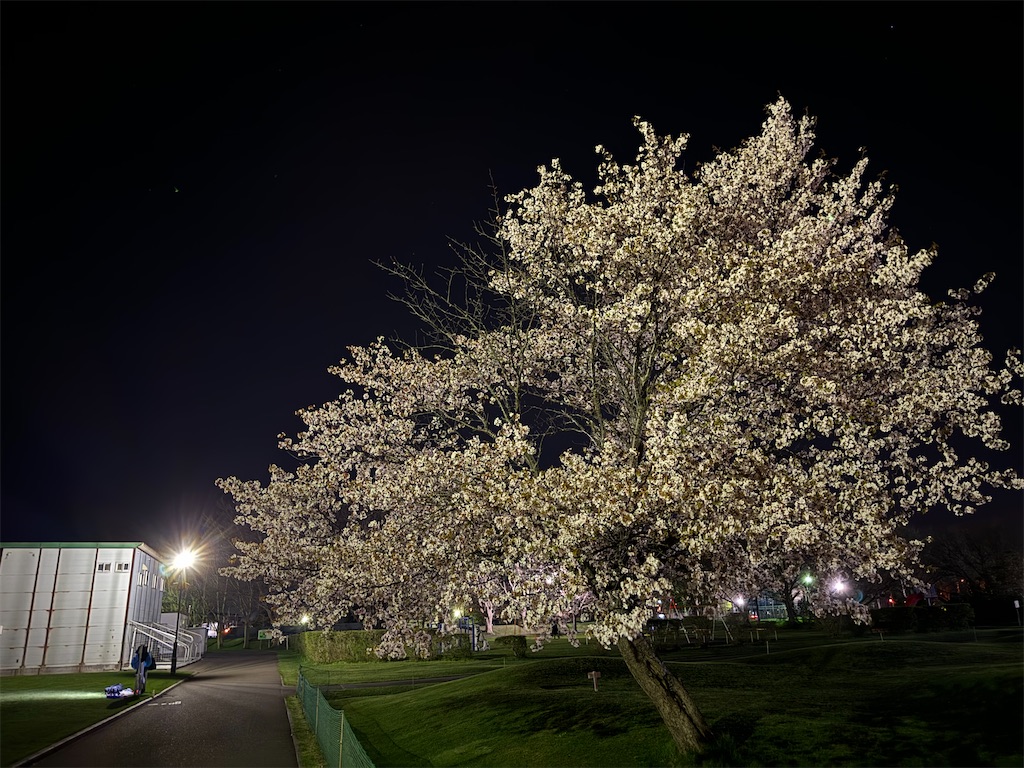f:id:chibariyo-rc:20240504231502j:image