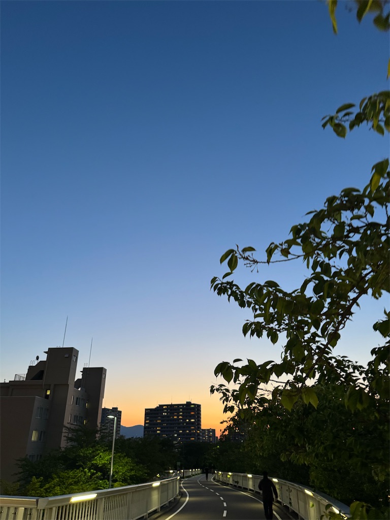 f:id:chibariyo-rc:20250522055059j:image