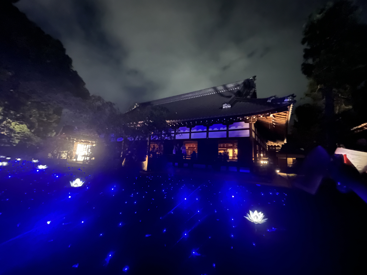 宇治,青蓮院,京都,イルミネーション