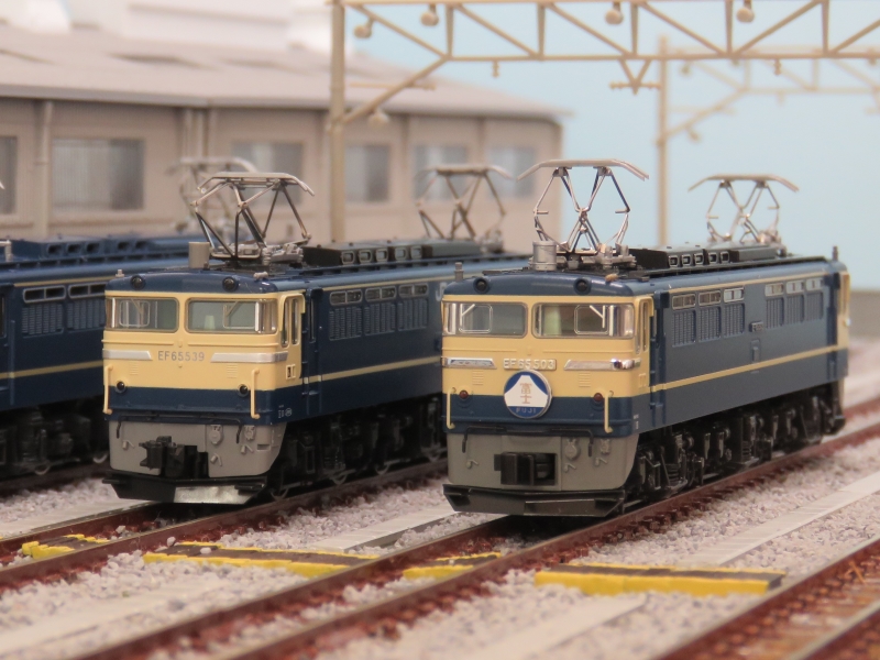 Amazon | 青島文化教材社 1/50 電気機関車シリーズ No.1 EF65/60