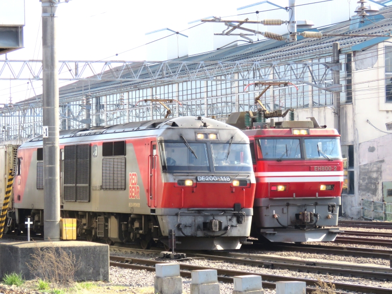 実車】函館・五稜郭でプチ鉄活動（2026年4月） - NEW CHIBA TRAIN NET