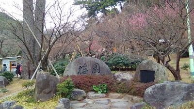 熱海 森の温泉ホテル 小さな旅行記