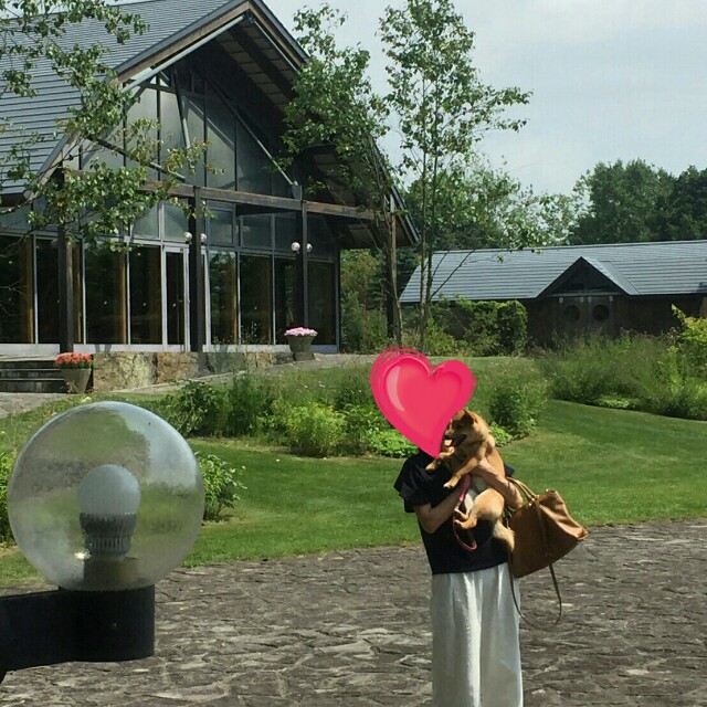 f:id:chibichama:20190807223842j:plain