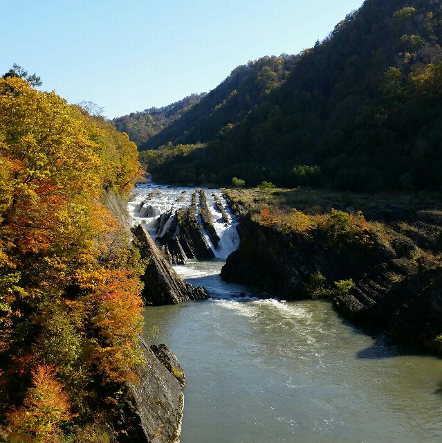 北海道の夕張は紅葉が綺麗でした 滝の上公園と夕張道の駅メロードへ犬を連れて行ってきました ちびちゃまの毎日が夏休み