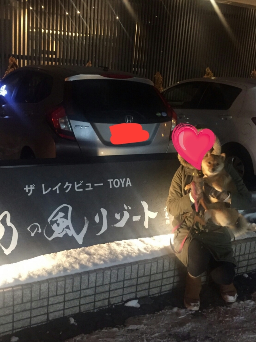 f:id:chibichama:20191216193637j:plain f:id:chibichama:20191216193637j:plain