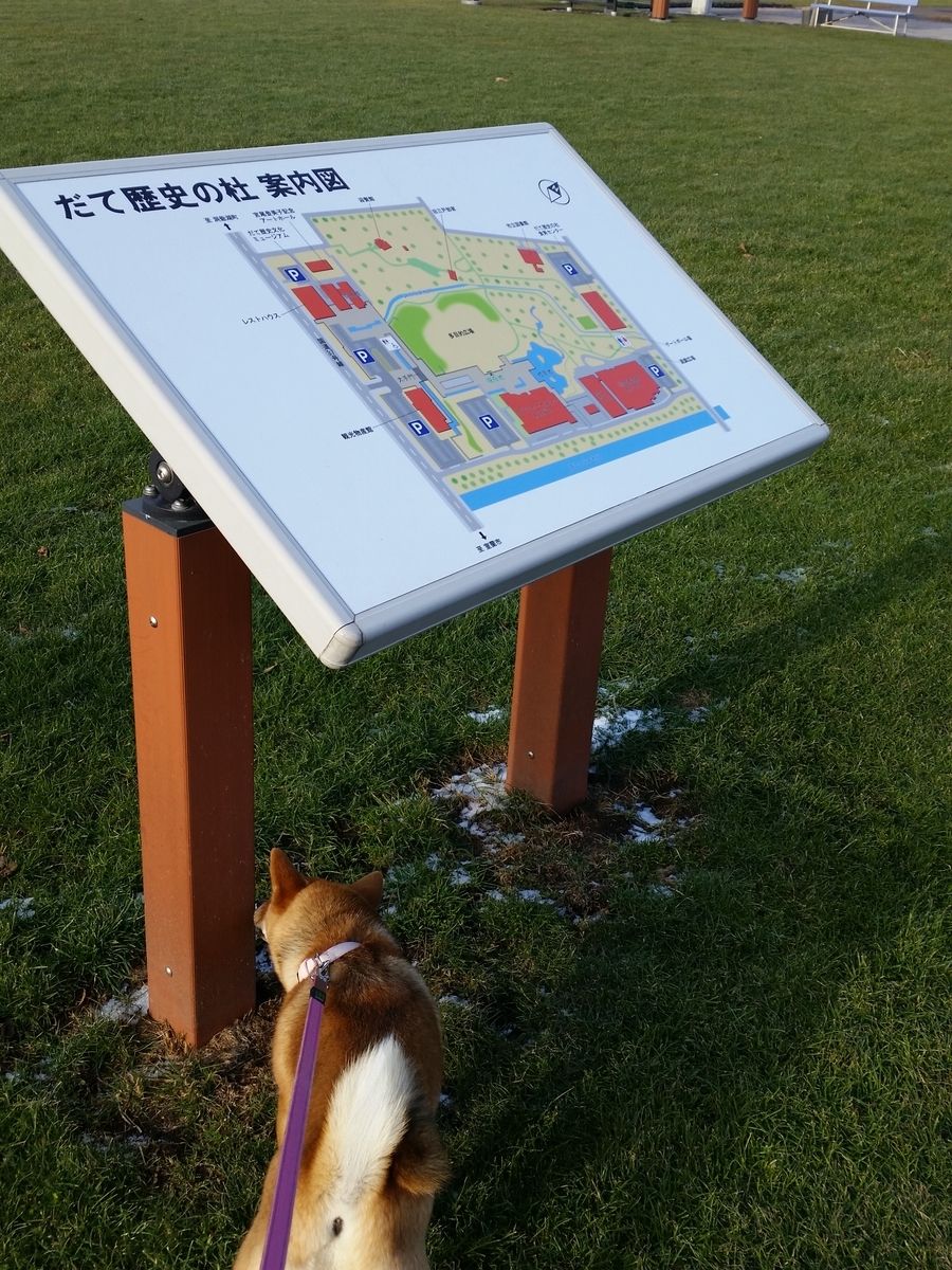 f:id:chibichama:20191216225359j:plain f:id:chibichama:20191216225359j:plain