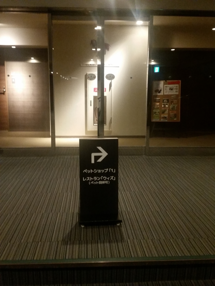 f:id:chibichama:20191216225540j:plain f:id:chibichama:20191216225540j:plain