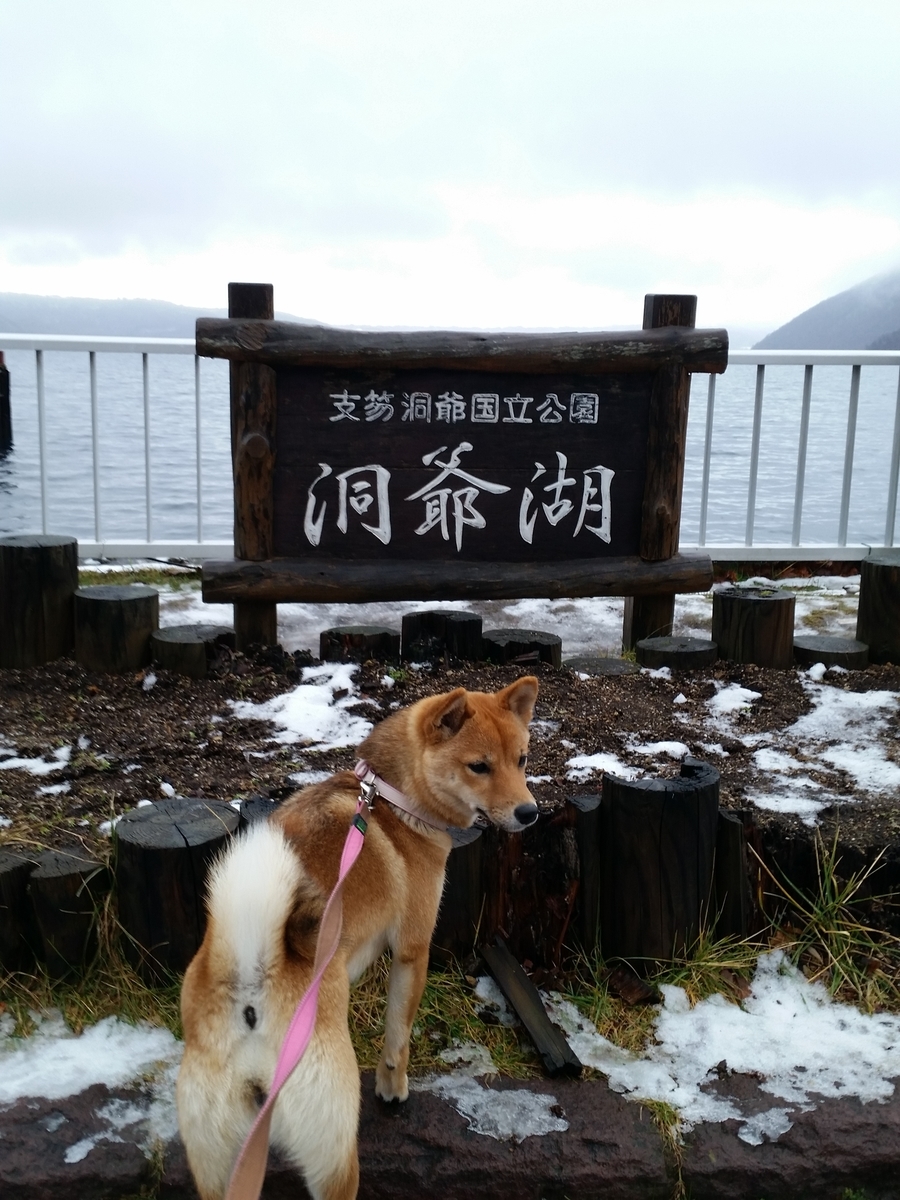 f:id:chibichama:20191216225906j:plain f:id:chibichama:20191216225906j:plain