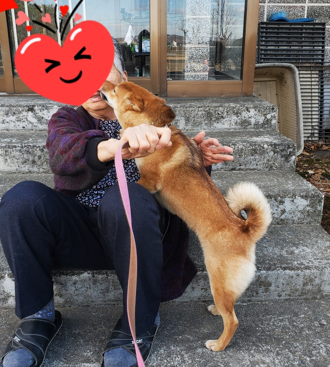 f:id:chibichama:20200418133526j:plain f:id:chibichama:20200418133526j:plain