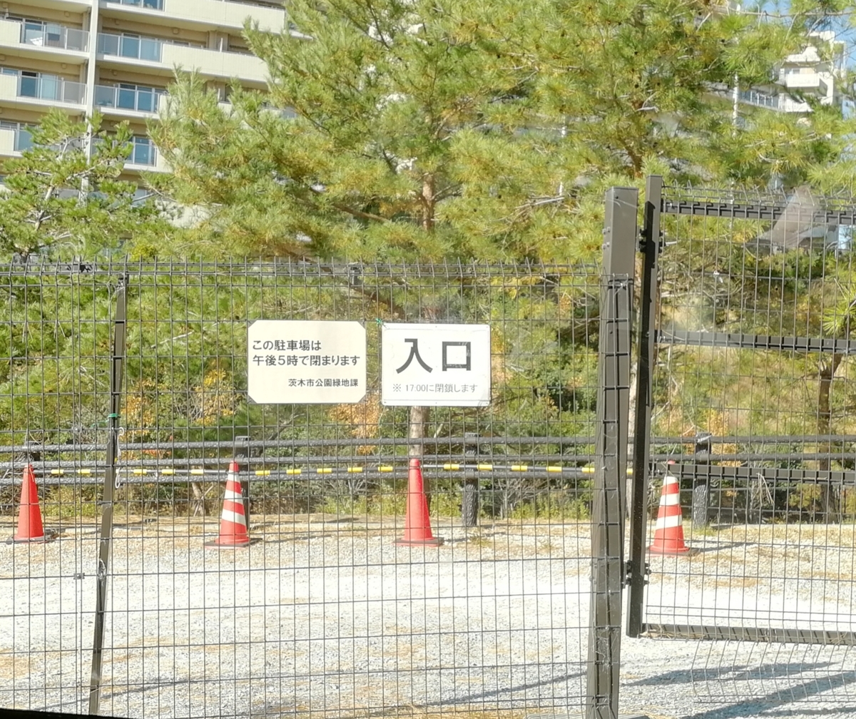 f:id:chibichi_mam:20191231080620j:plain f:id:chibichi_mam:20191231080620j:plain