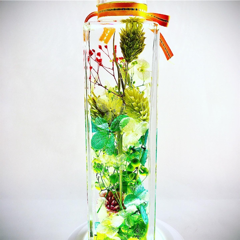 f:id:chibichibidebu:20200716201409j:image