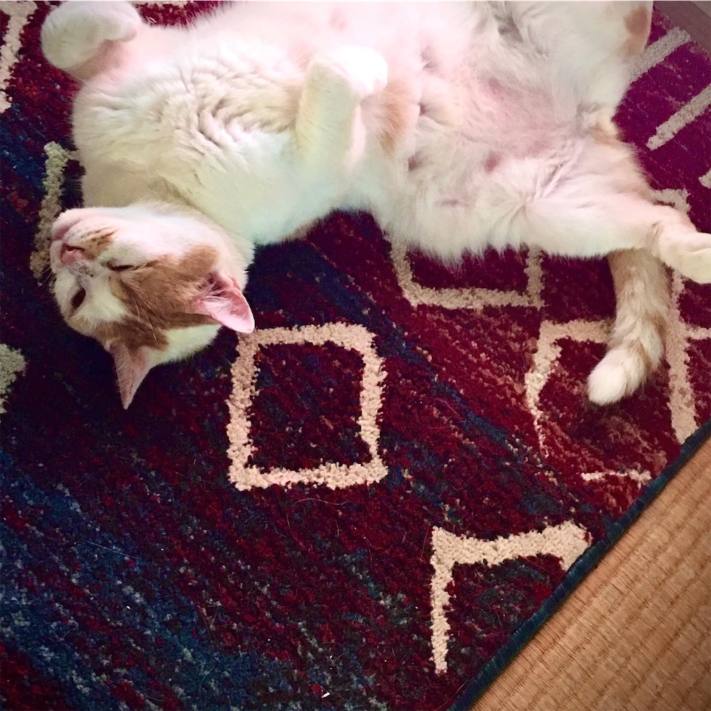 f:id:chibichibidebu:20200717223028j:image