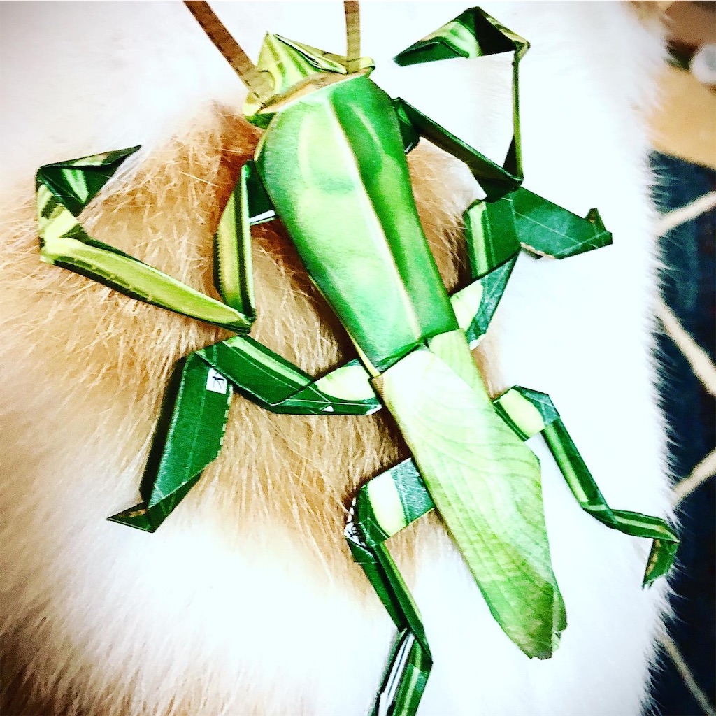 f:id:chibichibidebu:20200728170127j:image