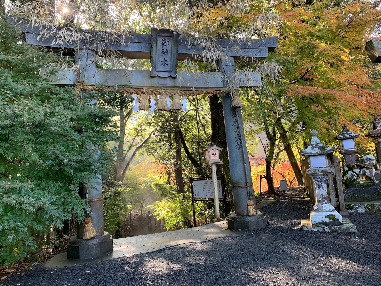 f:id:chibichika48:20191126203826j:image