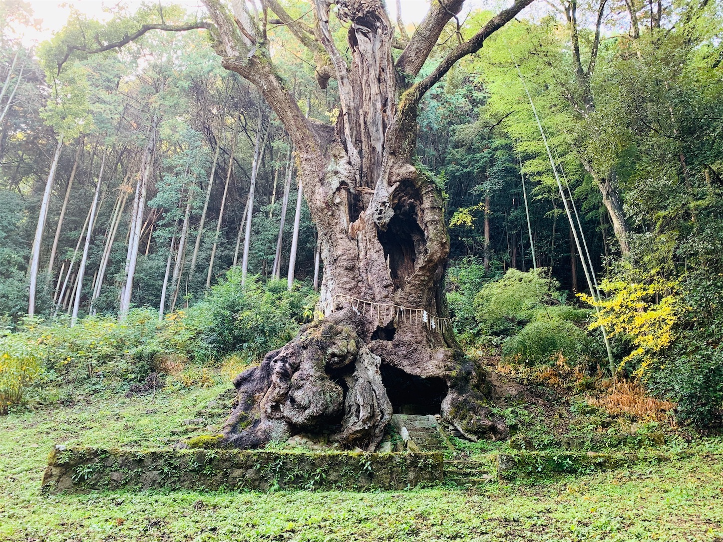 f:id:chibichika48:20191126203837j:image