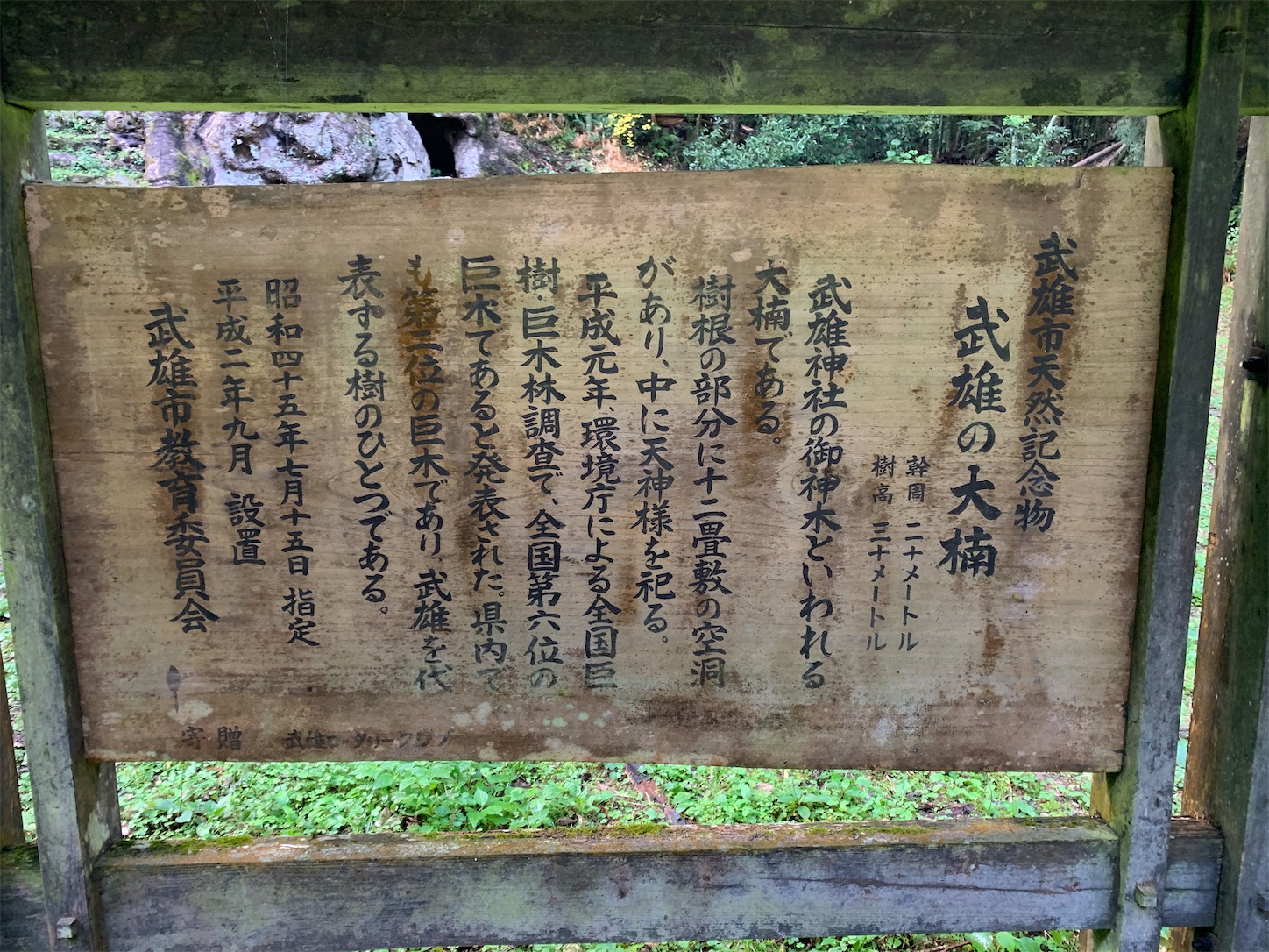 f:id:chibichika48:20191126203847j:image