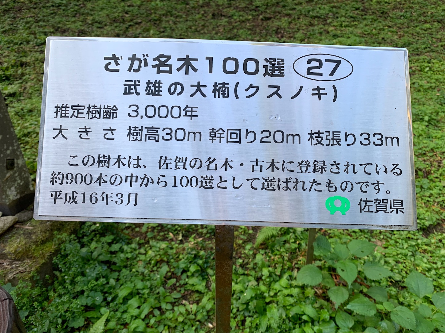 f:id:chibichika48:20191126203905j:image