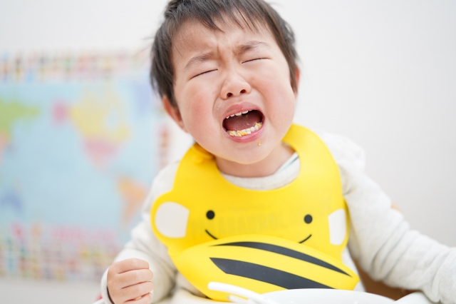 2人目育児の登竜門 我が家が直面した赤ちゃん返り4つのパターン 二児ワーママが本気で副業スキルを身につける話 2人目育児の登竜門 我が家が直面した赤ちゃん返り4つのパターン 二児ワーママが本気で副業スキルを身につける話